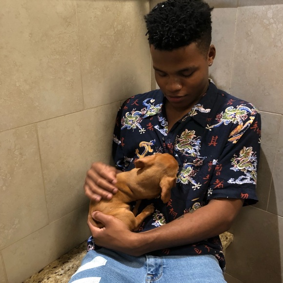 Meet your Posher, Nigel - Picture 4 of 4